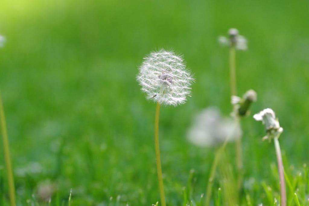 62081694_2205625033082496_3561826360076795904_n