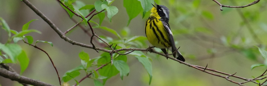 How Do They&nbsp;Know???