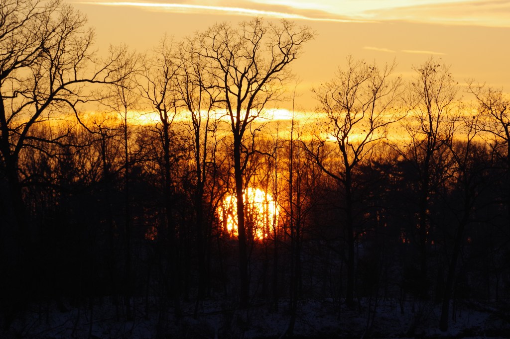 What Does It Mean Whole&nbsp;Healing?