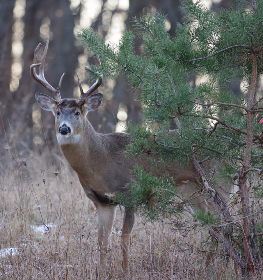 82073025_2954202507946586_5018630768109289472_n