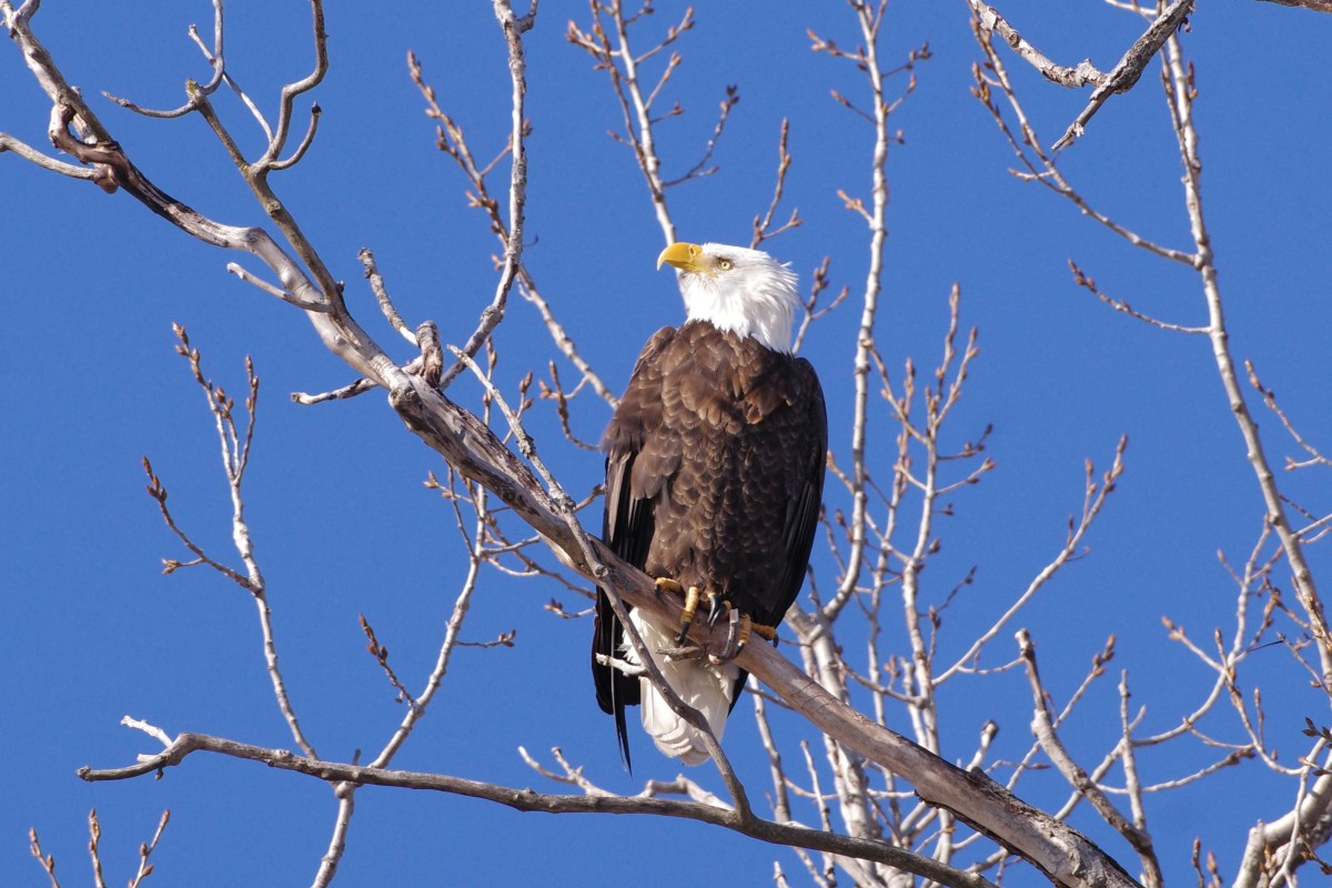 What If Our Own Words Were Not&nbsp;Empty?