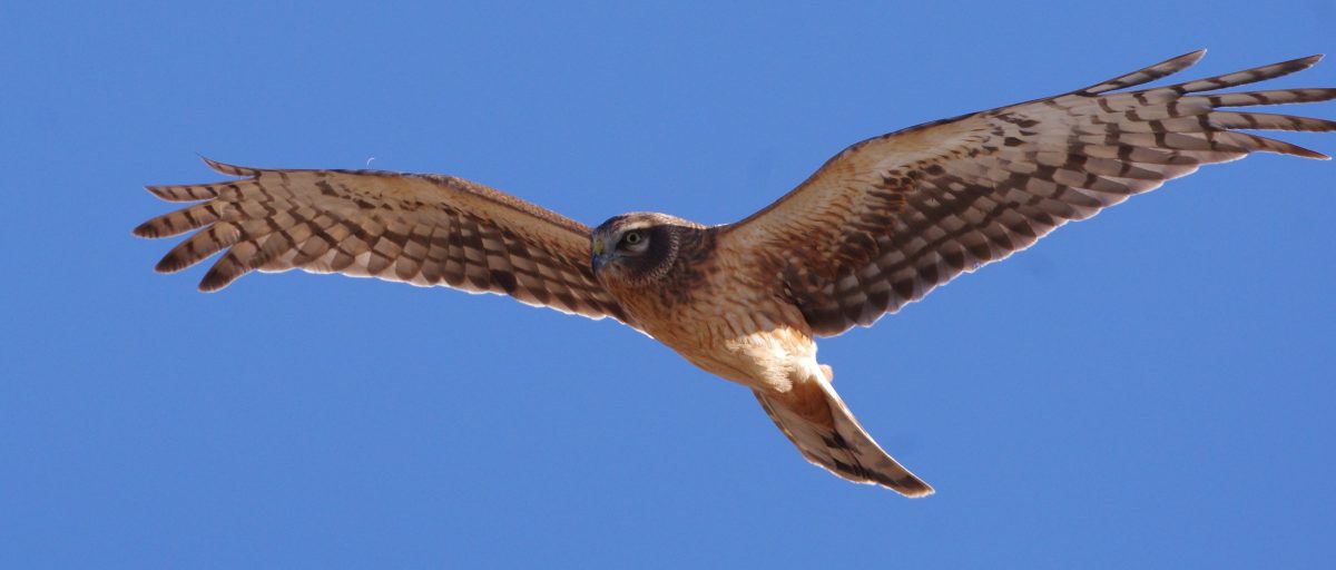 Spring Cleaning – New&nbsp;Perceptions