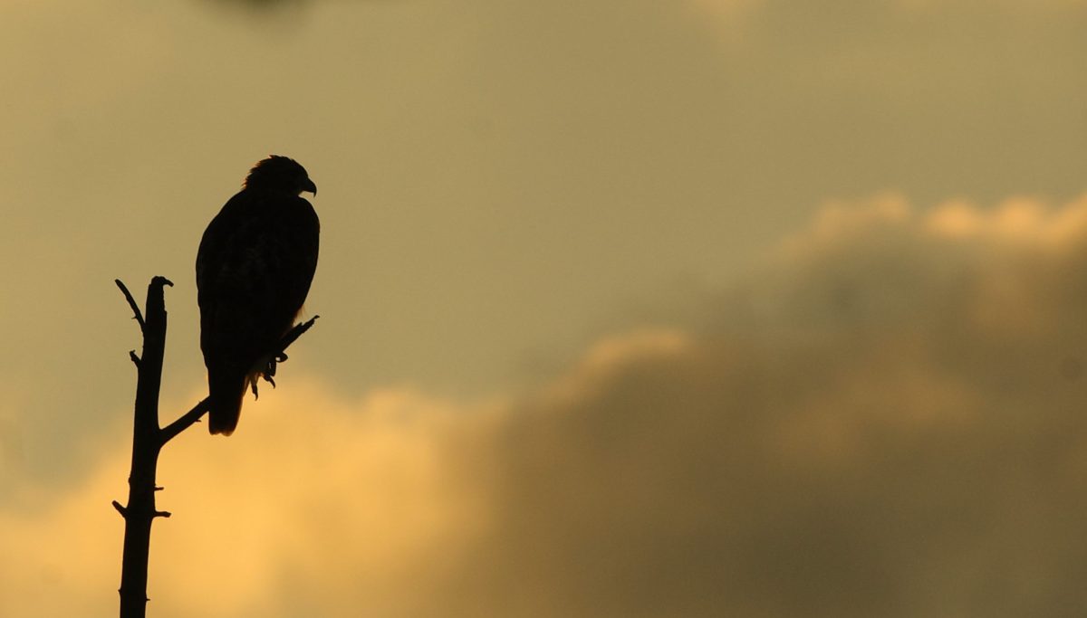 Waiting for Surgery and Wondering What Else You Can Do Besides&nbsp;Worrying?