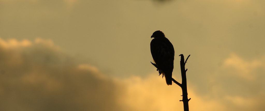 Can We Let All Storms Pass Alongside Us and Not Through&nbsp;Us?