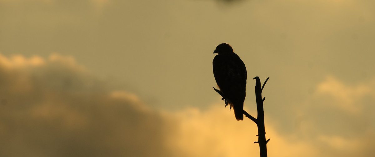 Can We Let All Storms Pass Alongside Us and Not Through&nbsp;Us?