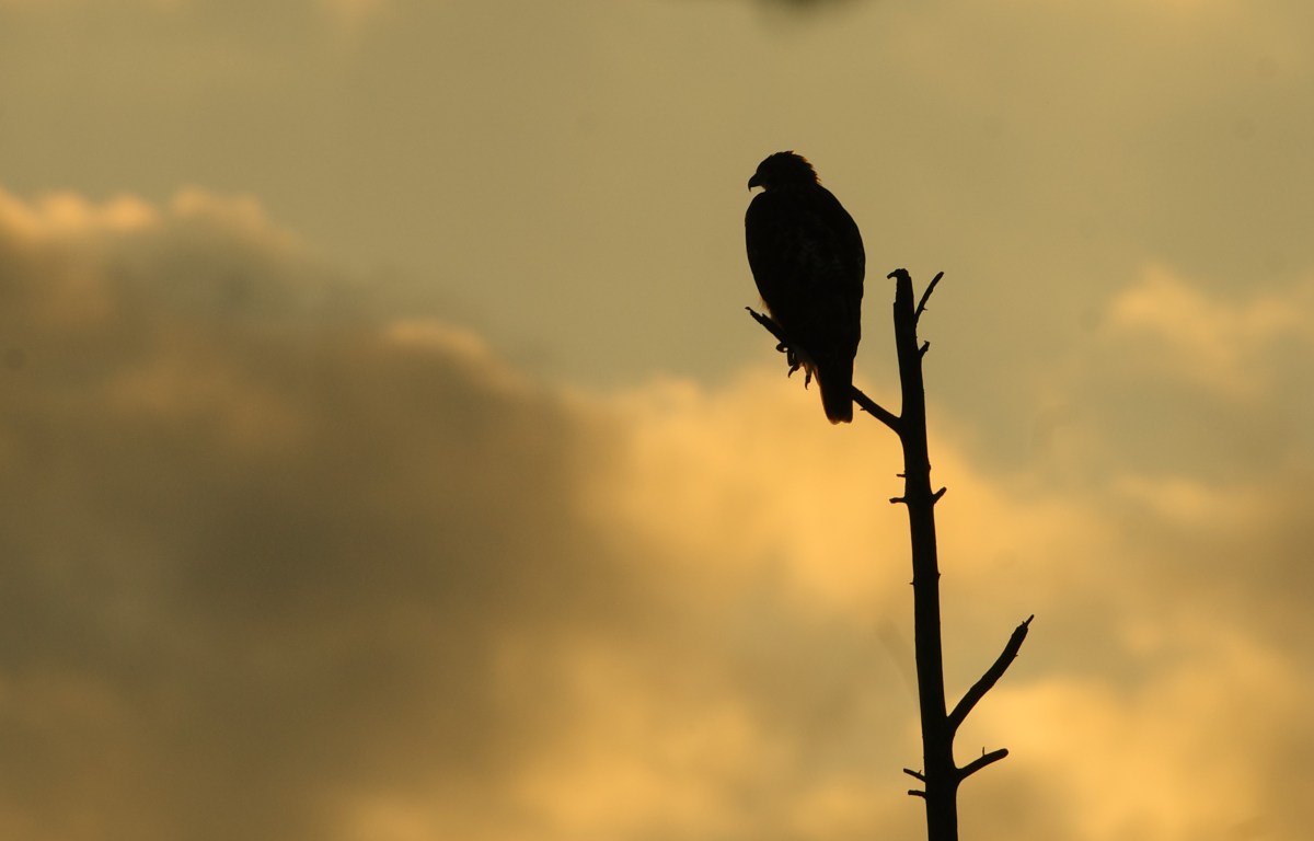 Can We Let All Storms Pass Alongside Us and Not Through&nbsp;Us?